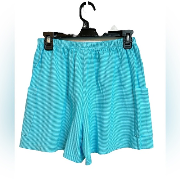 Fresh Produce Blue Striped Cotton Shorts Size Medium - Picture 3 of 5